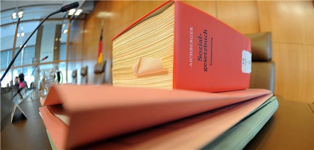 Für mehr Durchblick im SGB-Dschungel Leistungsansprüche sind auf die Sozialgesetzbücher verteilt. Nicht nur für psychisch Kranke eine Herausforderung.