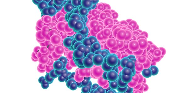 Leptin im Modell: Bei Menschen mit Leptinmangel senkt künstlich hergestelltes Leptin (Metreleptin) nahrungsunabhängig den Leberfettgehalt.
