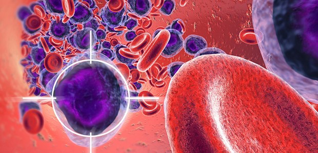 Neue Hoffnung Genchirurgie Leukozyten im Fokus der Gentherapie, die die Zellen in die Lage versetzt, Krebszellen zu attackieren.