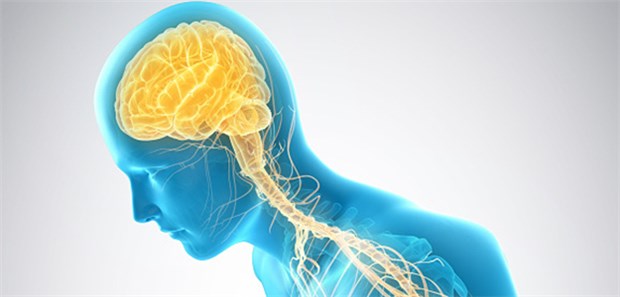 Levodopa wird seit mehr als 40 Jahren verordnet. Aus Sorge vor möglichen toxischen Effekten bei Langzeitgabe fand dennoch bei Parkinson eine Therapie damit oft erst verzögert statt. Diese Sorge ist nach neuen Studiendaten offenbar unbegründet.