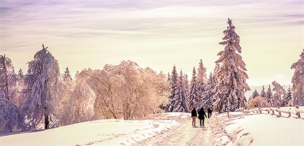 Winter-Blues nach dem Turbo-Sommer? Licht tanken: Ein Winterspaziergang hilft gegen schlechte Stimmung.