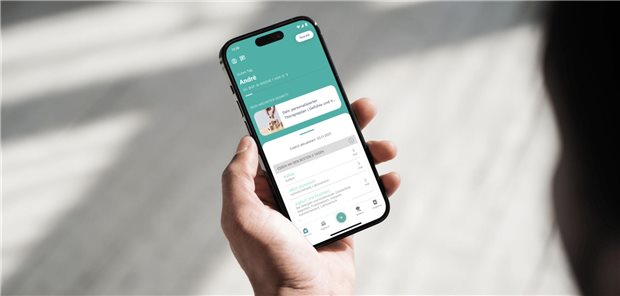 Viel Geld für wenig Evidenz? TK-Chef erneuert Kritik an Apps auf Rezept Licht und Schatten: Den Therapieprogrammen im Westentaschenformat können die Kostenträger nicht nur gute Seiten abgewinnen.