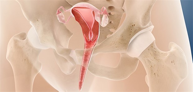 Wann haben Patientinnen eine bessere Prognose? Liegt der Überlebensvorteil bei Frauen mit HRT und Endometriose in einem veränderten hormonellen und immunologischen Milieu begründet?