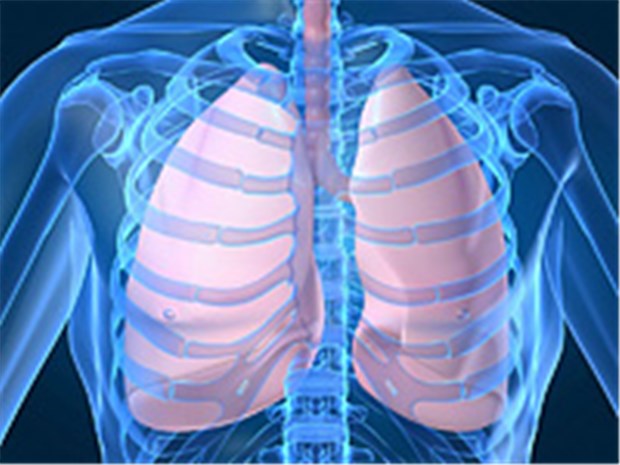 Asthma, COPD & Co breiten sich global aus Lungenleiden sind weltweit auf dem Vormarsch. 2010, im "Year of the Lung" soll darauf aufmerksam gemacht werden.