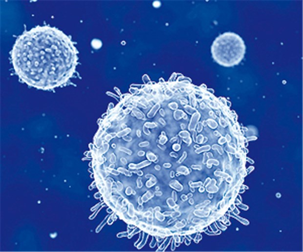 Mit Gentherapie zur Remission Lymphozyten lassen sich gezielt zur Bekämpfung von Krebszellen programmieren.