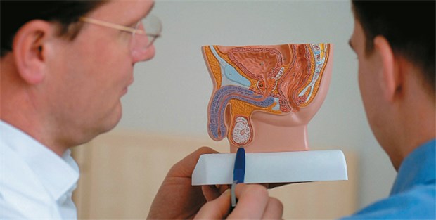 Hodenhochstand - Therapie im Babyalter Männer mit ehemaligem Hodenhochstand sollten sich regelmäßig selbst untersuchen.