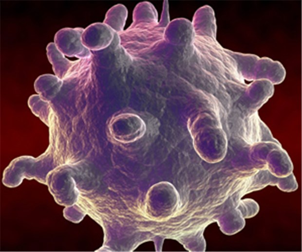 Gefahr vor allem im Januar Mag den Januar: Rhinovirus.