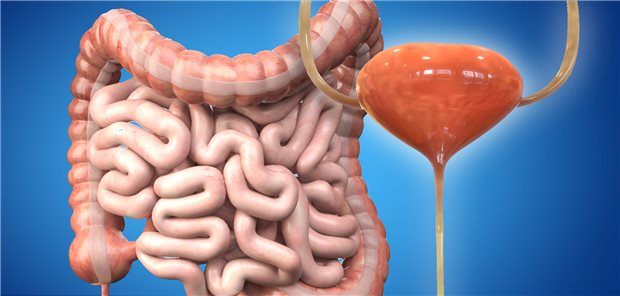 Magen-Darm-Trakt im Chaos: Welche Konsequenzen eine unvollständige Anamnese hat, haben japanische Mediziner beschrieben.
