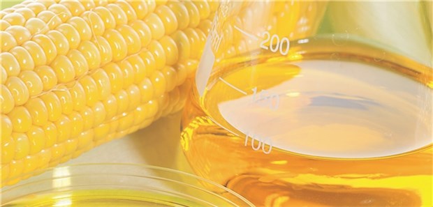 Warum der Zuckersirup zum Problem werden könnte Mais dominiert als Ausgangsrohstoff für die Herstellung von Zuckersirup in den USA.