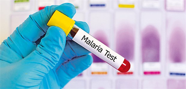 Malaria-Diagnostik: Der Dicke Tropfen ist Standardmethode.