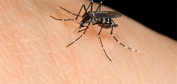 Erfolge und neue Probleme im Kampf gegen Malaria Malaria ist und bleibt eine der gefährlichsten Krankheiten in Afrika.