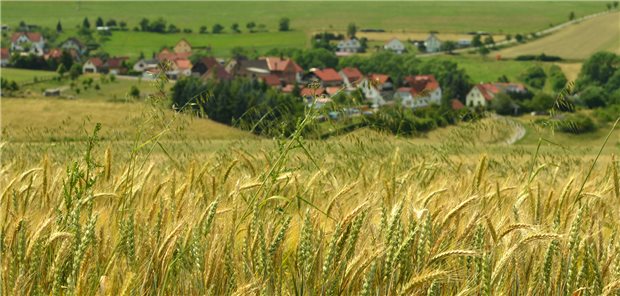 Hausarztaktionsprogramm in NRW wird fortgesetzt Mangel an Allgemeinmedizinern: Kommunen mit maximal 40000 Einwohnern werden es immer schwerer haben, Hausärzte zu finden.