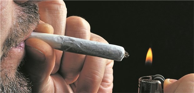 Steigert Marihuana das Risiko für Herztod? Marihuana-Konsum: Viele Länder lockern die Verbote.