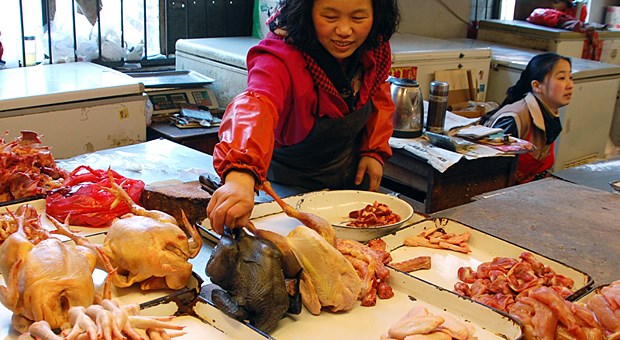 Die Welt blickt besorgt nach China Markthalle in Peking: Enger Kontakt zu Geflügel ist vermutlich eine H7N9-Infektionsquelle.