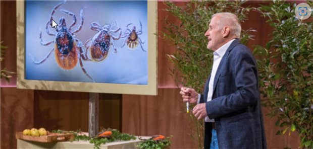Matthias Meinhold war bei der Fernsehsendung „Höhle der Löwen“ zu Gast und hat den Investoren vor Ort seinen Zeckengreifer vorgestellt.