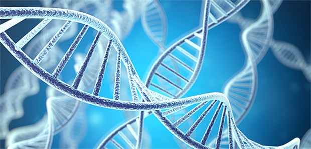 Medikamente, die auf der RNA-Interferenz basieren, können über Monate wirken und müssen deshalb nur selten gegeben werden.