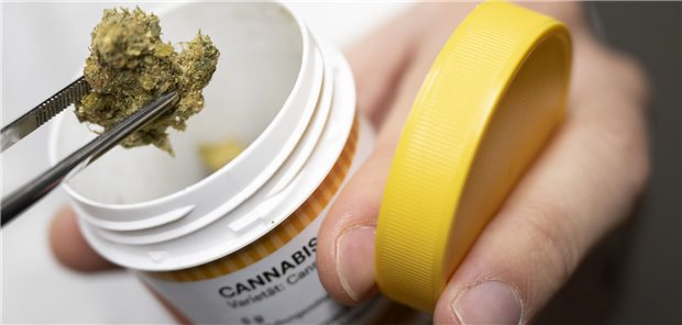 Medizinal-Cannabis soll nach dem Willen der Ärztekammer Nordrhein nicht per Online-Verschreibung zu haben sein.