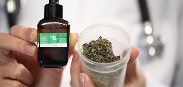 Nach Teillegalisierung: Cannabisspezifische Krankenhausaufnahmen haben zugenommen Eine Ärztin hält Cannabis in der Hand.