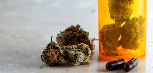 Medizinalhanf: Für die Schmerztherapie dürfen grundsätzlich alle Präparate verordnet werden. 