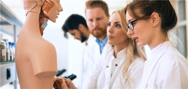 Vier Unis suchen „Lokalhelden“ als Landärzte Medizinstudenten: Vier Unis in NRW wollen die Studierenden frühzeitig für die Arbeit auf dem Land begeistern.