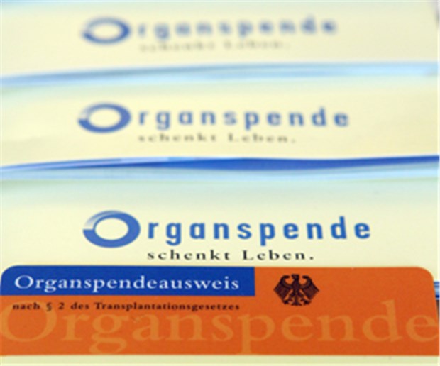 Fußballvereine werben für die Organspende Mehr Bürger mit einem Organspendeausweis - das soll jetzt der Fußball erreichen.