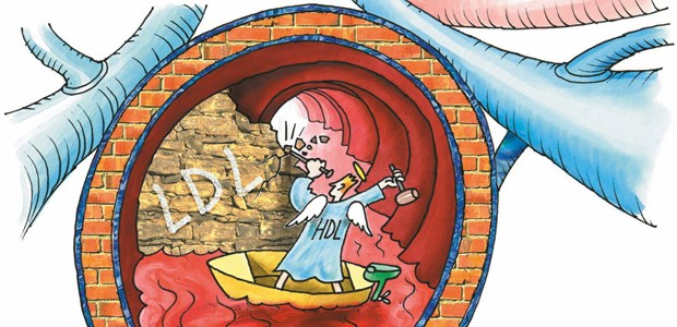 Megastudie verfehlt ihr Ziel Mehr HDL-Engel bitte: Etliche Präparate sind daran bereits gescheitert.
