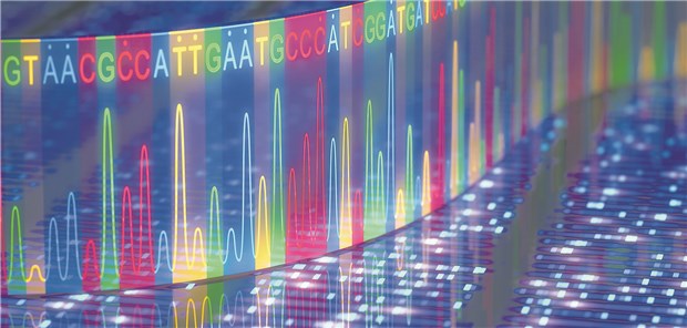 Mehr als 30 Gene wurden bei Lungenkrebs-Patienten analysiert.