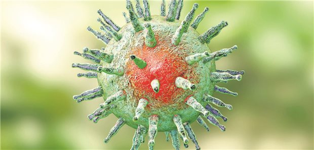 Epstein-Barr-Virus