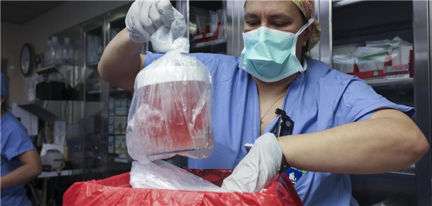 Erster Patient mit Schweineniere in den USA gestorben Melissa Mattola-Kiatos nimmt im März dieses Jahres vor der Transplantation einer Schweineniere im Massachusetts General Hospital die Niere aus einer Transport- und Kühlbox. Nun ist der weltweit erste Patient mit einer transplantierten Schweineniere knapp zwei Monate nach der Operation gestorben. (Archivbild)
