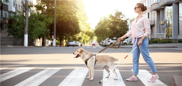 Menschen mit Sehstörungen erhalten nur dann problemlos Hilfsmittel wie Blindenführhunde oder Stöcke von der Krankenkasse, wenn sie die notwendigen Befunde einreichen.