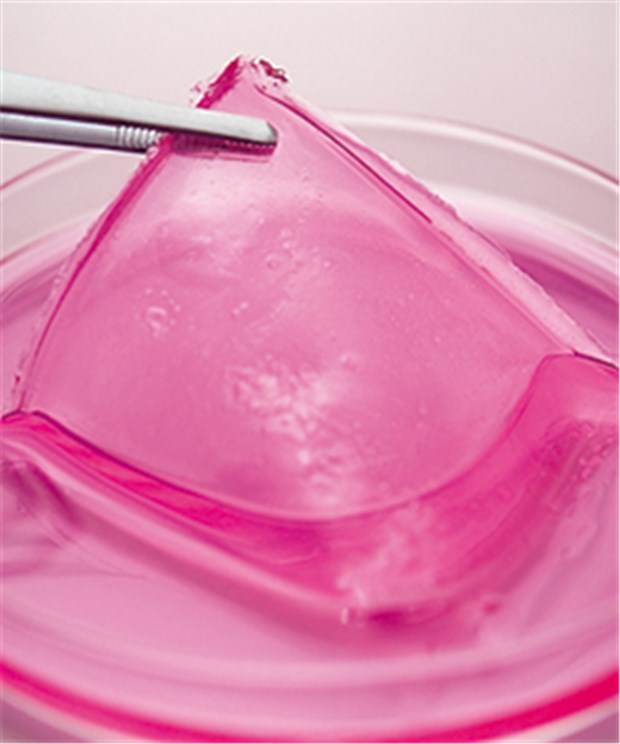 Bioprinting und Künstliche Intelligenz treiben die Medizin Menschliche Haut künstlich zu produzieren ist ein Ziel, das mit dem 3D-Druck verfolgt werden kann. Auch Hydrogele werden zum Züchten von biologischem Material genutzt, das menschlichem gleicht.