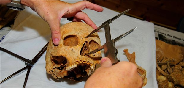 Darum waren die ersten Bauern kleiner als wir Messen, moderne bildgebende Verfahren, Analysen der DNA: Anthropologen gehen auch der Frage nach, ob und wie sich Umwelteinflüsse auf das Körperwachstum von Menschen auswirken. (Symbolbild)