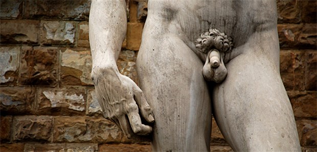 Erstmals Penis und Skrotum transplantiert Michelangelos David vor einer Ziegelwand: In den USA wurde erstmals ein Penis + Hodensack transplantiert.