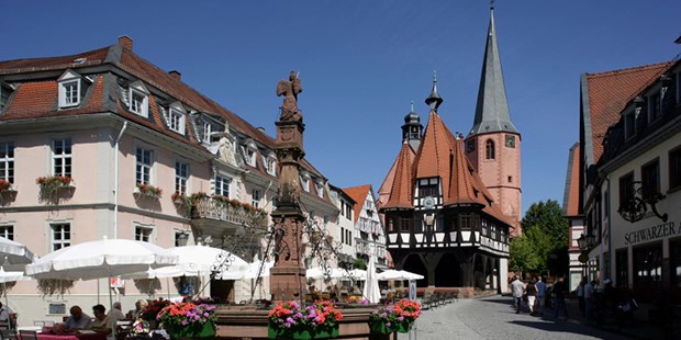 Gemeinsam gegen den Ärztemangel Michelstadt im Odenwald: Seit neulich eine Ärztin weniger.