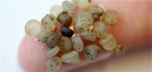 Forscher entdecken Mikroplastik in menschlichen Stuhlproben Mikroplastik-Teilchen am Ufer der Warnow in Rostock: Österreichische Forscher haben Mikroplastik jetzt in Stuhlproben beim Menschen gefunden.