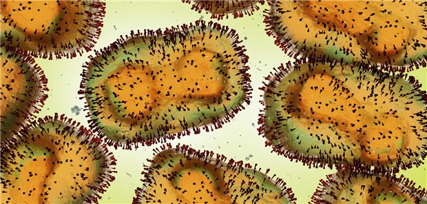 Mikroskop-Aufnahme des Mpox-Virus.