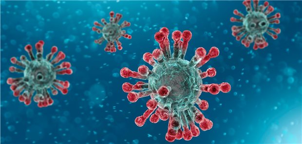 Die USA und das Corona-Eigentor Mikroskopische Darstellung eines Corona-Virus: Wie sinnvoll ist das Einstellen der US-amerikanischen WHO-Beitragszahlungen während der COVID-19-Pandemie?