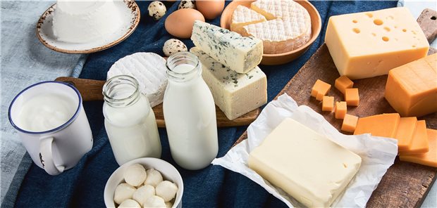 Die Milch macht’s wohl doch nicht Milch, Butter, Käse: Zumindest nach einer neuen Datenanalyse sind solche Produkte nicht zur Prävention der Osteoporose geeignet.