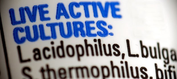 Darmschutz bei Antibiotika Milchsäurebakterien schützen den Darm vor der Besiedelung mit enteropathogenen Keimen.