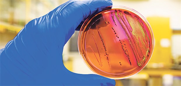 Weniger Antibiotika-Verbrauch ist oft mehr Mit Antibiotic Stewardship nehmen oft auch die Resistenzen bei Bakterien ab.
