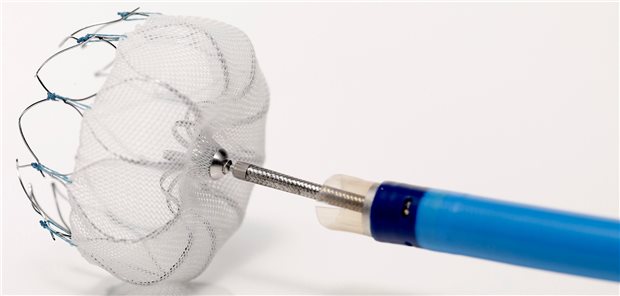 Mit Hilfe eines Vorhofohr-Okkluders können Schlaganfälle verhindert werden. Hier das Okkluder-System Watchman.