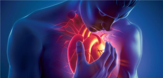 Mit IPE sei eine „dramatische Reduktion“ des Risikos für ischämische Ereignisse bei Statin-behandelten Hochrisikopatienten mit kürzlichem ACS gelungen, ohne zusätzliche Blutungen zu induzieren, fasst Erstautorin Neila Sayah vom Hôpital Bichat in Paris die Ergebnisse zusammen. Dies spreche für einen frühen Beginn einer IPE-Behandlung bei geeigneten ACS-Patienten.