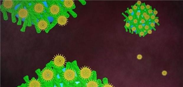 Mit Peptid-Nanofibrillen beschichtete Magnetkügelchen, die HIV-Partikel auf ihrer Oberfläche binden.