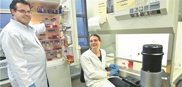 Forscher entdecken erst die Krankheit, dann die Patienten Mit Zellkulturen haben Dr. Björn Kowalewski und Mai-Britt Ilse nachgewiesen, dass bei Patienten mit MPS III-E das Gen für das Enzym Arylsulfatase G seine Funktion verloren hat.