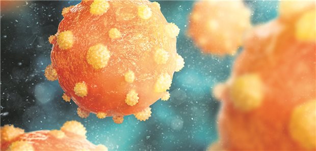 Hepatitis B Virus