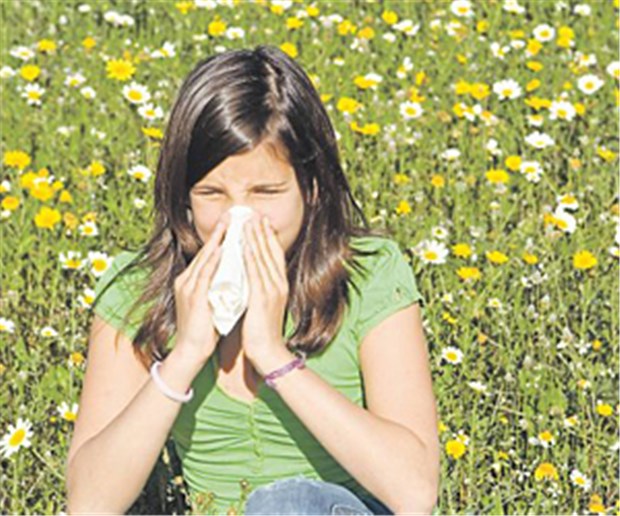 Heuschnupfen geht ins Auge Mit den Pollen steigt die Zahl der Heuschnupfen-Patienten.