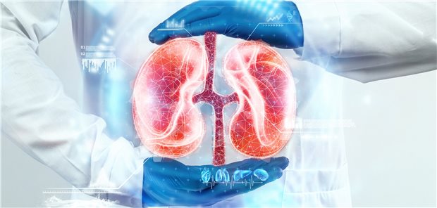 Mit den SGLT-2-Hemmern hat sich eine neue Option der Nephroprotektion aufgetan.