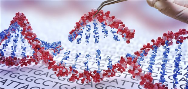 Mit der CRISPR-Cas9-Technik ist es möglich, Gene aus der DNA zu „scheiden“ und durch Alternativen zu ersetzen. (3D-Illustration)
