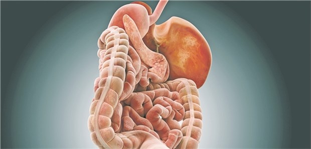 Mit der Einführung von Imatinib 2002 zur Behandlung bei GIST hat sich die Prognose der Patienten deutlich verbessert.