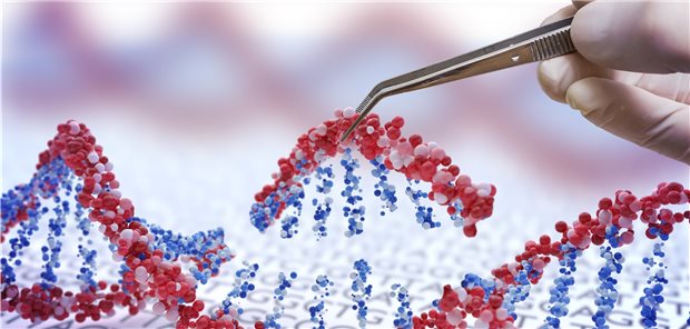 Mit der Genschere CRISPR-Cas9 ist ein Arbeiten am Genom möglich – mit gewünschten, aber auch unerwünschten Effekten.